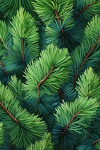 Pine backgrounds spruce plant. AI generated Image by rawpixel.