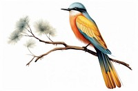 An exotic bird animal beak wing. AI generated Image by rawpixel.