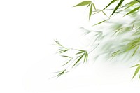 Bambooes backgrounds plant leaf. AI generated Image by rawpixel.