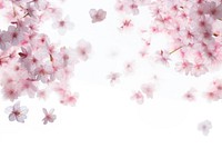 Cherry blossoms backgrounds outdoors flower. AI generated Image by rawpixel.