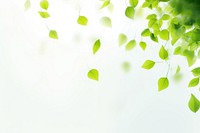 Primary green color leaves backgrounds plant leaf. AI generated Image by rawpixel.