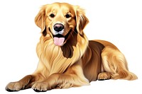 Golden Retriever dog retriever mammal animal. AI generated Image by rawpixel.
