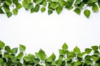 Green leaves backgrounds plant shape. AI generated Image by rawpixel.