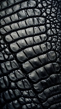 Alligator skin black backgrounds monochrome. 