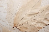Autumn maple texture plant leaf. AI generated Image by rawpixel.