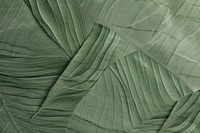 Green palm texture plant leaf. AI generated Image by rawpixel.