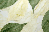 Leaf with green and yellow plant backgrounds abstract. AI generated Image by rawpixel.