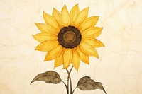 Sunflower with yellow plant inflorescence creativity. AI generated Image by rawpixel.
