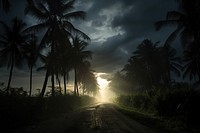 Road over palm trees land sunlight outdoors. AI generated Image by rawpixel.