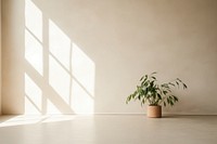 Empty room plant architecture windowsill. 