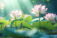 An impression lotus pond nature outdoors blossom. AI generated Image by rawpixel.