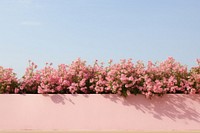 Flowering planting flower architecture outdoors. AI generated Image by rawpixel.