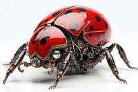 Cyborg ladybug animal insect white background. AI generated Image by rawpixel.