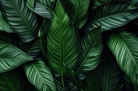 Tropical leaves background backgrounds tropics plant. AI generated Image by rawpixel.