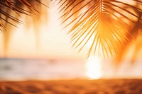 Beach with palm leaves summer backgrounds sunlight. AI generated Image by rawpixel.