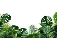 Monstera plants backgrounds vegetation outdoors. AI generated Image by rawpixel.