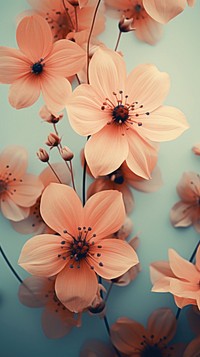 Flowers wallpaper blossom petal plant. AI generated Image by rawpixel.