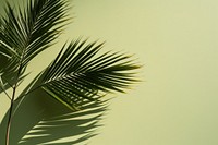 Green wall background leaf backgrounds sunlight. AI generated Image by rawpixel.