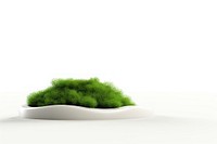 Landscape plant green pottery. AI generated Image by rawpixel.