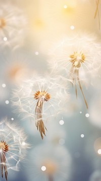 Dandelion backgrounds flower plant. AI generated Image by rawpixel.