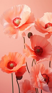 Poppy flowers blossom petal plant. AI generated Image by rawpixel.