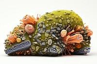 Biology nature animal food. AI generated Image by rawpixel.