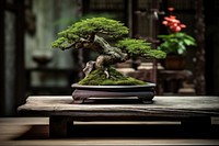 Bonsai plant table tree. AI generated Image by rawpixel.