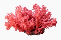 Underwater nature plant sea. AI generated Image by rawpixel.