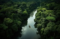 Rainforest river boat outdoors. AI generated Image by rawpixel.