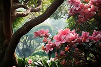 Tropical tree outdoors blossom. AI generated Image by rawpixel.