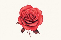 Vintage rose flower plant art. AI generated Image by rawpixel.