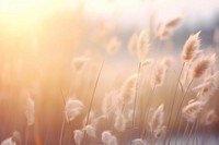 Grass flowers in aesthetic nature sky backgrounds. AI generated Image by rawpixel.