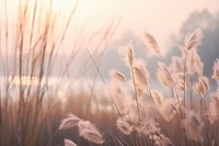 Grass flowers in aesthetic nature sky outdoors. AI generated Image by rawpixel.