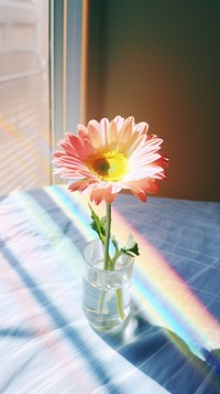 Flower on the table with shadow petal plant vase. AI generated Image by rawpixel.