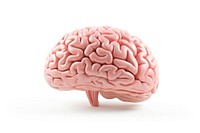 Human brain white background outdoors medical. AI generated Image by rawpixel.