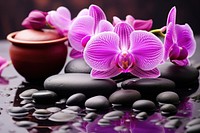 Orchid flower purple petal. AI generated Image by rawpixel.