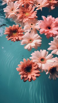 Flowers in the pool outdoors nature petal. AI generated Image by rawpixel.