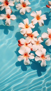 Flowers on the pool backgrounds outdoors blossom. AI generated Image by rawpixel.