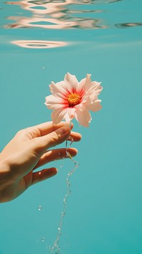 A hand is picking up a small flower outdoors nature finger. AI generated Image by rawpixel.