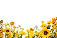 Sunflower backgrounds outdoors nature. AI generated Image by rawpixel.