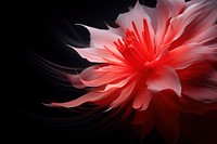 Red higanbana flower petal plant inflorescence. AI generated Image by rawpixel.