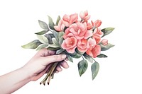 Hand holding a bouquet of flowers plant rose white background. AI generated Image by rawpixel.