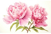 Peony blossom drawing flower. AI generated Image by rawpixel.