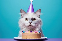 Cat wearing birthday hat cake dessert mammal. AI generated Image by rawpixel.