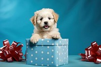 Puppy came up from a gift box mammal animal pet. AI generated Image by rawpixel.