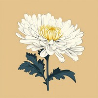 Chrysanthemum chrysanths flower plant. AI generated Image by rawpixel.