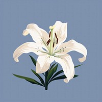 Lily flower plant inflorescence. AI generated Image by rawpixel.
