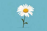 Daisy flower plant inflorescence asteraceae. AI generated Image by rawpixel.