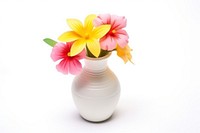 Flower vase petal plant white background. AI generated Image by rawpixel.