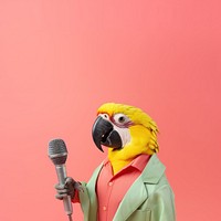 Parrot microphone animal bird. 